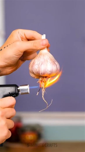 Top 5 intresting Amazing gardening Hacks 😱| Random Facts #facts #shorts #ytshort