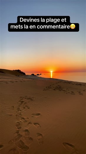 Découverte des plages algériennes bordant le désert