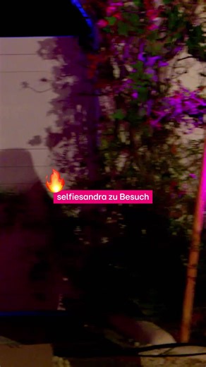 Sandra bewertet Tanz-Moves in Make Love, Fake Love