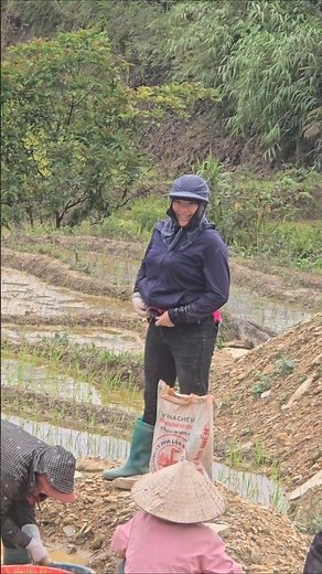 rice farming methods in rural areas
