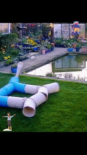 #pets #animals #nature #fail #fails #parati #fyp #foryou #viral #funny #pourtoi