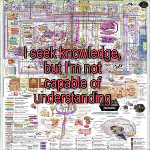 Understanding Intelligence and Knowledge: A Humble Perspective
