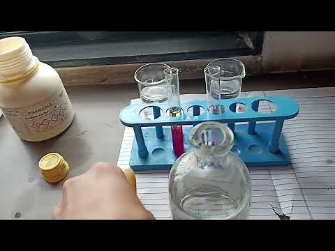 Detection of urea in urine |11TH class CBSE | GSEB | Urease test |principle requirement procedure