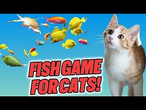 Cat TV | Catch The Fish! Game for Curious Cats 😹🐟| No Ads - 4K