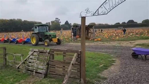 Come walk through the patch with us! Grey skies fit our theme this year- and adds to the atmosphere! Plenty to see and do, as well as picking your perfect pumpkin!! 🎃 🎃🎃🎃🎃🎃🎃🎃🎃🎃🎃🎃🎃 #addamsfamily #wednesday #familydayout #dogfriendly #familyfun | Frogs Farm