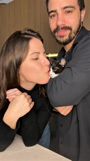 Ananda Vasconcelos on Instagram: "Review do nosso novo gato esfomeado 😂 Me ajuda a escolher um nome pra ele? 🫶🏼 #gato #gatinhos #pet"