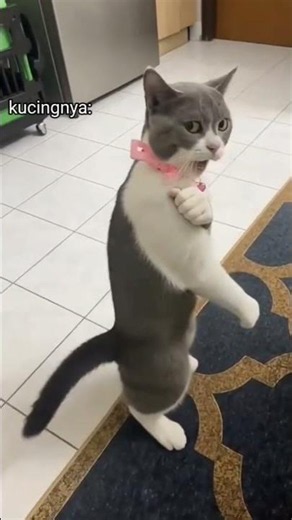 pantas banget lah aku takut