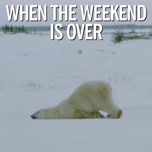 Mood. | Cosmopolitan