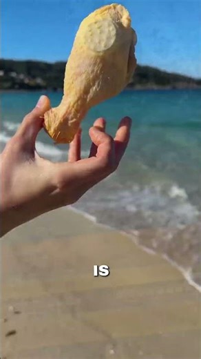 Never Throw Plastic Into Ocean 🌊