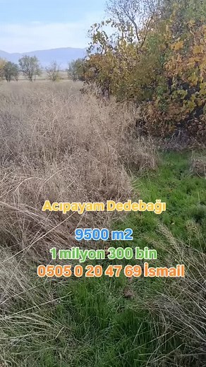 14 reactions · 18 shares | 0505 0 20 47 69 İsmail Atabey Gayrimenkul Denizli Acıpayam dedebağı satılık 9000 metrekare 2 parselden oluşmakta içinde sondaj kuyusu var eski yol cepheli Dalaman çayına 500 metre mesafede konumları güzel 1 milyon 300.000 | Ismail Yüksel | Facebook
