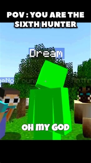 POV : you are the sixth HUNTER 😅