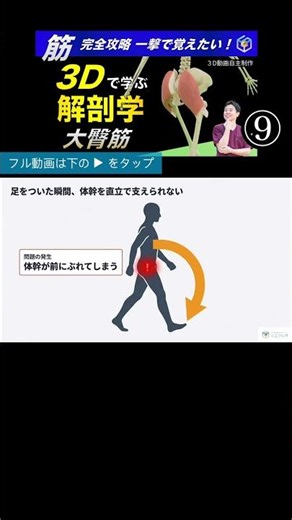 「大臀筋歩行」の特徴とは？ 評価なき大臀筋トレが招く代償動作。3Dで可視化する『坐骨神経』への配慮と、根拠ある運動処方の進め方