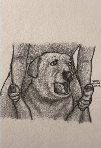 Funny Dog Sketches: Art and Humor Combined