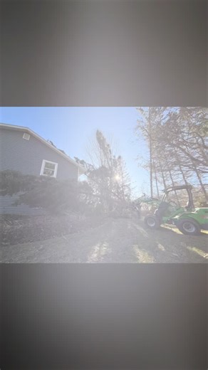 December wind consistently delivers storm work…but next time promise you’ll call me before you get tree parts mixed with your house parts! | Viking Tree Care