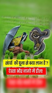 8.3K views · 537 reactions | Why we worship Snakes #history #krishna #snake #hindu #hindutemple #temples #shivatemple #shiva #sanatandharma #sanatani #reels #reels #reelsinstagram #instagood #instagram #viralvideos #viral #trending #trendingreels #shivatemple #shakti | Shejal Bhadauria | Facebook