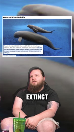 Just Giving Up on Instagram: "WHEN DID THIS RIVER DOLPHIN GO EXTINCT?? #extinctanimals #animalextinction #extinctspecies #animalquiz #guessinggame #triviagame #funfacts #historytrivia #challengevideo #animaltrivia #trivia"