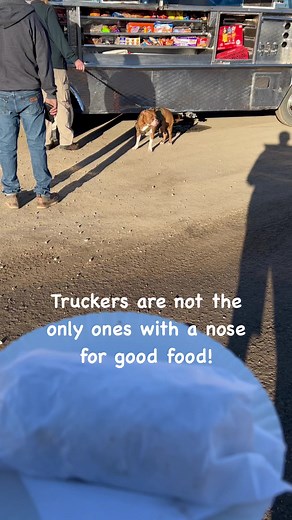 Truckers Guilty Food Pleasure🤫 #trucker #tacotruck #foodtrucks | Trucker O.G.