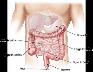 Peptic Ulcer: a Painful Ulceration in the Stomach