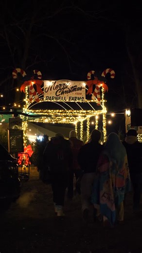 Explore Bryson City NC on Instagram: "🎄✨ Make Bryson City your holiday destination this season! ✨🎄From twinkling lights to cozy winter fun, our little mountain town is full of Christmas magic for all ages: 🎆 Smoky Mountain Christmas Light Spectacular – Drive through dazzling displays that light up the season 🚜 @DarnellFarmsNC Holiday Hayrides – Bundle up for a cozy ride through festive farm lights ⛸️ Ice Skating at @TheYardBC – A classic holiday pastime right in downtown Bryson City ✨ Downto