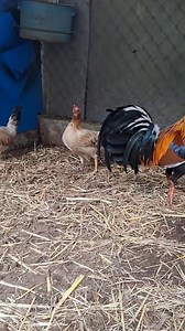 Cada dia vamos mejorando | Miguel Arce