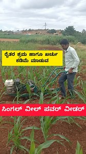 1M views · 15K reactions | ರೈತರ ಶ್ರಮ ಹಾಗೂ ಖರ್ಚನ್ನು ಕಡೆ ಮಾಡುವ ಸಿಂಗಲ್ ವೀಲ್ ಯಂತ್ರದ ಮಾಹಿತಿ. #singlewheelpowerweeder #powerweeder #powerweedermachine #powerweedercultivator #powerweedermachines #powerweederforpaddy #diytools #agreeagroindustrys | ಕೃಷಿ ದೇವೋಭವ. Krushi Devobhava | Facebook