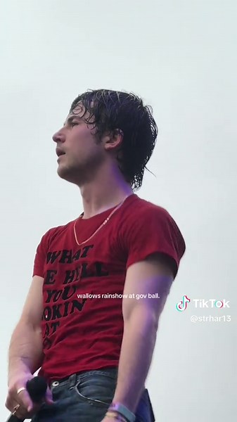 no words just dylan minnette #wallows #dylanminnette #govball #govballnyc #concert #nyc #wallowsmusic #needthat #fyp