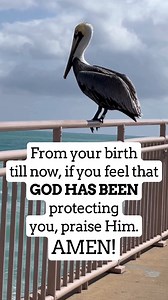 4 comments | #ChristianLove #JesusLovesYou #ScriptureQuotes #Encouragement #GodsPlan #ChristianLiving #SpiritualGrowth #GodIsGood #Scripture #Faith | The Bible and God | Facebook