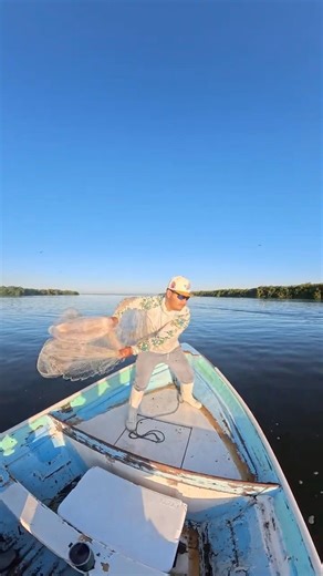 Alimentando a los pelícanos 🎣🪶 #pesca #fishinglife #fishing #sea