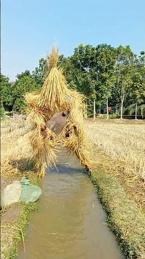 “A Fake Cockatoo Stole His Water 😆💦 | Funny Farming Prank”
