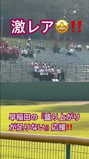 激レア🤩‼️ 早稲田の『盛り上がりが足りない』応援‼️ 早大学院 🆚 朋優学院 高校野球 東京都秋季大会 スリーボンドボンド八王子 2024年10月12日