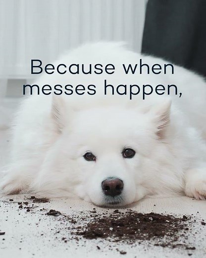 Get Spiffy Paw Exclusively at Pet Food Express! #doglife #catlife