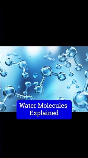 Why is the Water Molecule so SPECIAL?