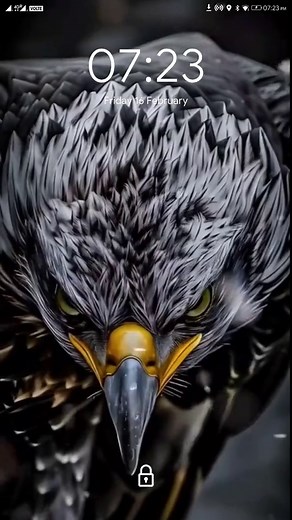 Download Free Hot Live 3D Wallpapers for Your Screen