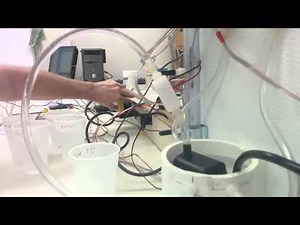 Week 11 Salinity Sensor Calibration