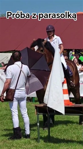 Ogier Elvis - spokój jego największą siłą. 🐴 Czempionat Koni Sztumskich Stare Pole 2026 #shorts