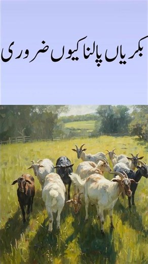 why Goat Rearing is Important #wrg