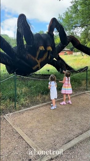 Incredible Animal Transformations!