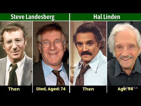 Barney Miller Cast Then and Now – How They Changed (1975–1982)