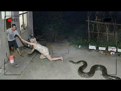 60 Real-Life Shocking Moments Caught on CCTV – You Won’t Believe What Happens Next ! #8