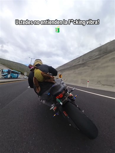 Videos de 🔱𝑷𝑨𝑼𝑳 𝑮𝑶𝑹𝑫𝑰𝑳𝑳𝑶🔱 (@sou.anpa) con “sonido original - 🔱𝑷𝑨𝑼𝑳 𝑮𝑶𝑹𝑫𝑰𝑳𝑳𝑶🔱”