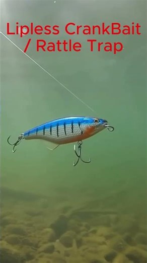 Have you used these 3 Ice Fishing Lures??