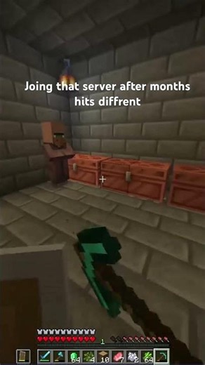 Joing that server after months hits diffrent#minecraft