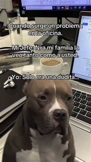 Problemas en la oficina: Cuando el jefe ya sabe