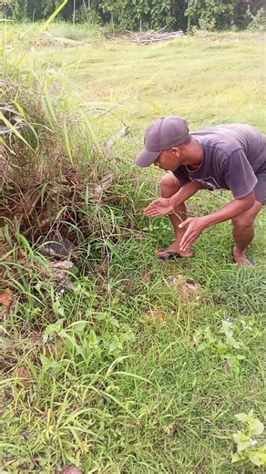 Wauuu😮Amasing #shorts