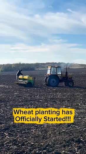 The Harvest Starts NOW! Seeder Working the Field  #wheatplanting #sowing #planter #seeder #tractor #agriculture #farmlife #reels #viralvideos #Plantación #Semina #Aussaat #Сев #种植 #izfarming | IZ Farming | Facebook