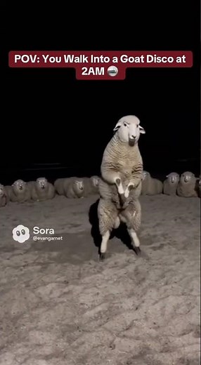 Goats Throw the Craziest Disco Party Ever 🕺🐐✨ #goats #disco #viral #foryou #farming #explore