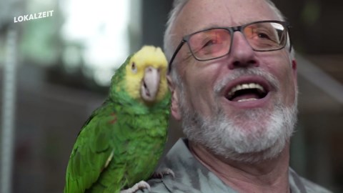 Der Papageien-Retter aus Dörentrup: Wo Vögel wieder fliegen dürfen