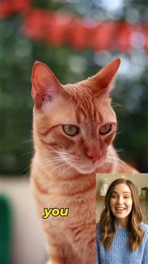 The Secret Way Cats Say "I Love You" ❤️🐱 #cat ##catbehavior ##cutecats #cats #cartoon