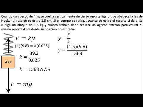 Physics | Work on a Spring | Example 1