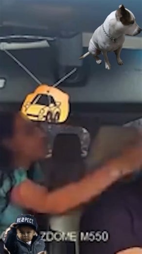 Elvis Gomes | Um motorista de aplicativo foi agredido por uma passageira na Zona Leste de São Paulo, no sábado (07). Ο caso foi registrado pelas câmeras... | Instagram